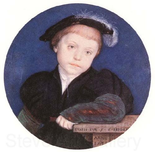 Hans holbein the younger Henry Brandon